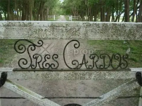 Campo dentro de una Estancia de Chacras