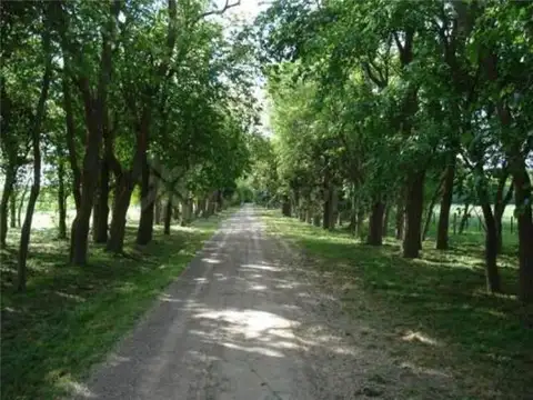 ruta 41 22