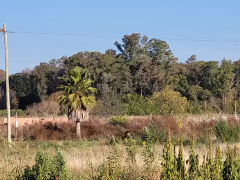 Terreno en Venta de 200,0 m2