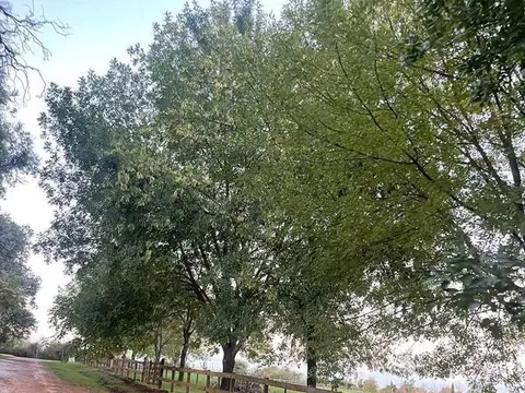 Terreno en Venta 54  mts Frente