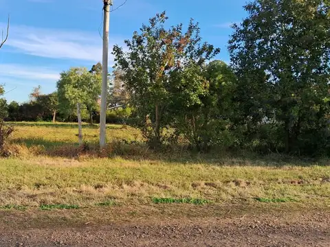 Terreno en Venta 50  mts Fondo