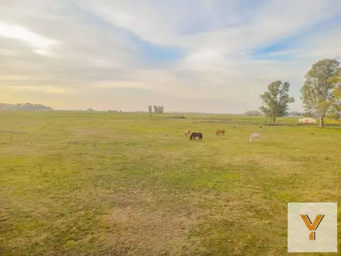 Terreno en Venta en San Andrés de Giles, USD 210.000