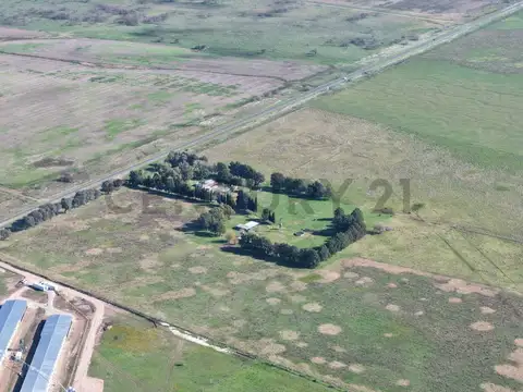 Ruta 36 km 94 MAGDALENA - CAMPO/FRACCIÓN A LA VENTA