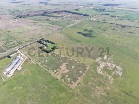Ruta 36 km 94 MAGDALENA - CAMPO/FRACCIÓN A LA VENTA