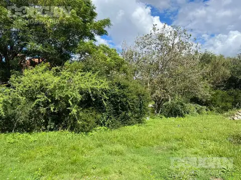 Terreno en Venta 48  mts Fondo