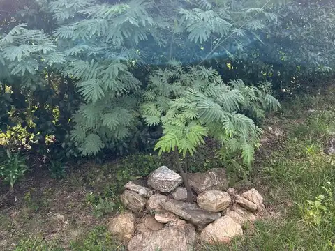 Terreno en Venta en Rincón Del Este, USD 45.000