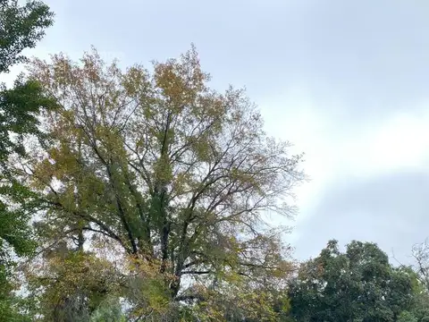 Terreno en Venta en Barrio El Cazador, USD 149.000