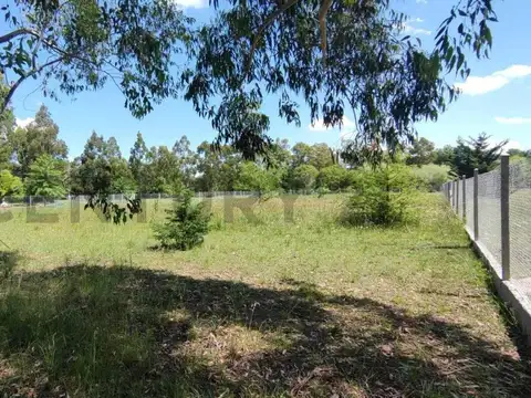 Lote terreno en venta en Arturo Segui "Los Aromos"