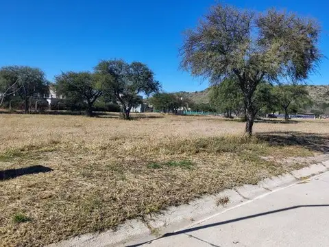 Terreno en Venta 31  mts Fondo