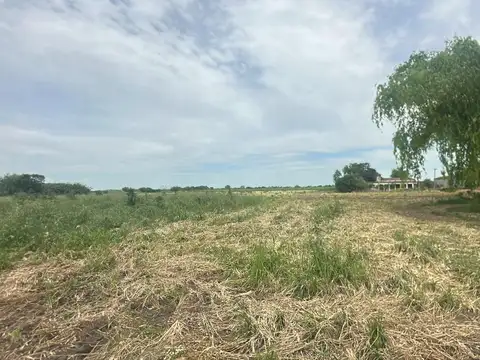 14 HECTAREAS EN VENTA IDEAL PARA DESARROLLO