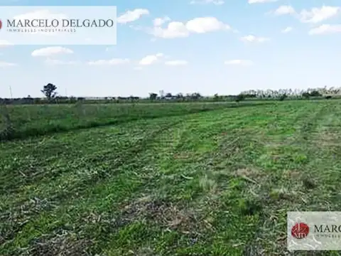 Fracción de 9 hectáreas en Guernica – Ideal Barrio Privado - Venta
