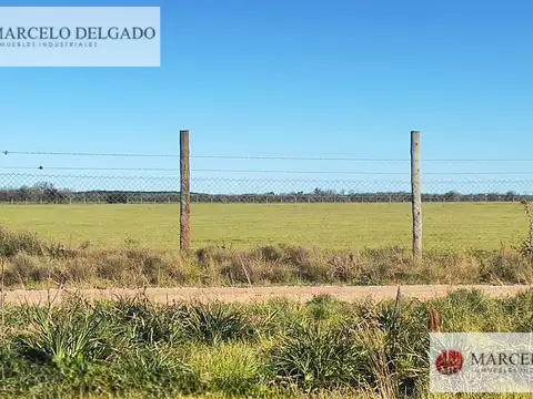 Terreno en Alquiler de 90000,0 m2