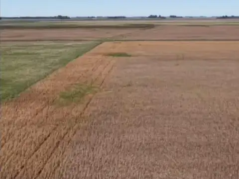Terreno en Saladillo