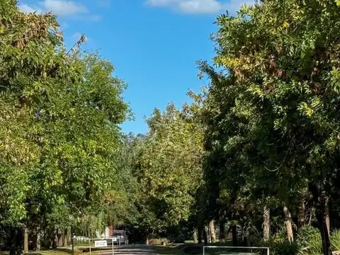Pavon, Barrio San Joaquin