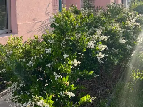 Casa en Alquiler Temporal en Villanueva, USD 5.500