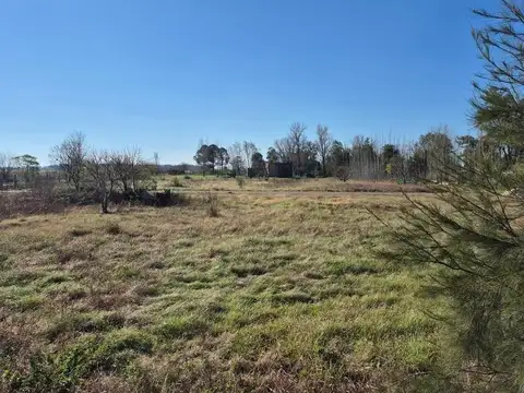 Terreno en Venta 50  mts Frente