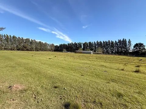 Terreno Campo  en Venta en Los Cardales, Exaltación de la Cruz, G.B.A. Zona Norte