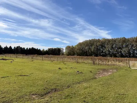 Terreno Campo  en Venta en Los Cardales, Exaltación de la Cruz, G.B.A. Zona Norte