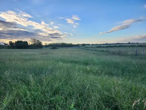 Venta chacra de 1 ha en Zelaya, Pilar, Buenos Aires