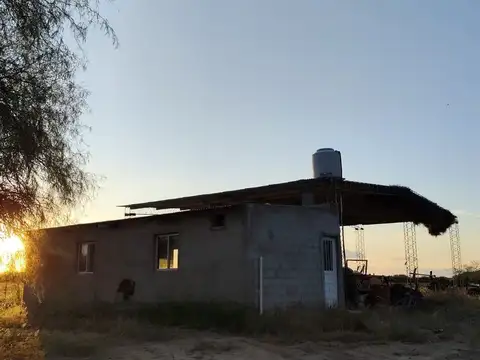 CAMPO EN VENTA 2150 HAS. GANADERO ZONA V. DOLORES