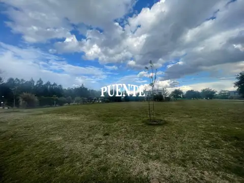 Terreno en Venta de 800,0 m2