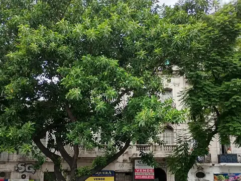 Estratégico edificio en Block  de Locales y Oficinas