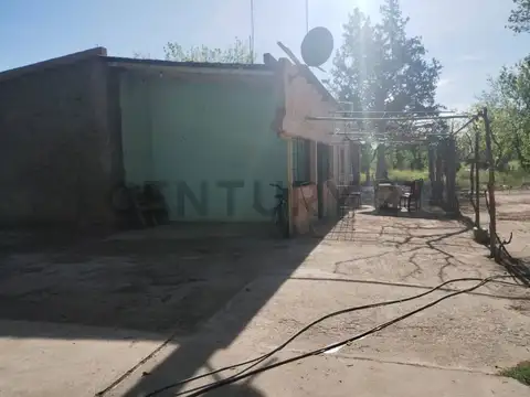 Belgrano 1000, Piso 0