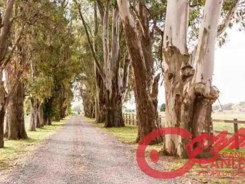 Terreno en Venta de 1326,0 m2