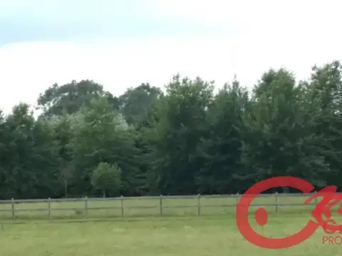 Terreno en Venta 20  mts Fondo