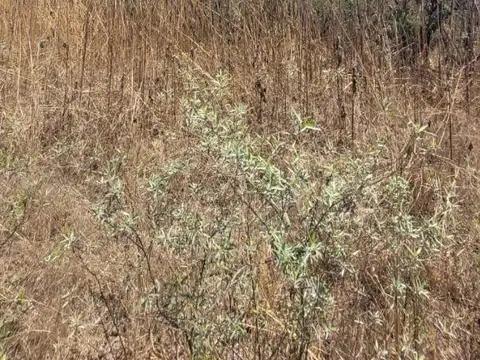 Oportunidad de Inversión en Circunvalación Oeste