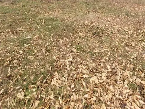 Terreno en Venta en Zona Centro, USD 535.717