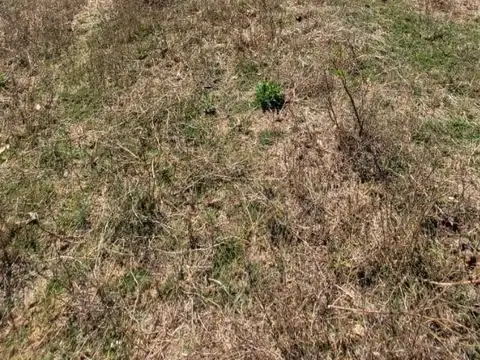 Terreno en Venta en Zona Centro, USD 535.717