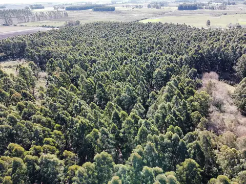 Campo en Venta con Alambrado