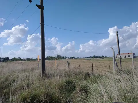 Terreno - Venta - Argentina, DOMSELAAR
