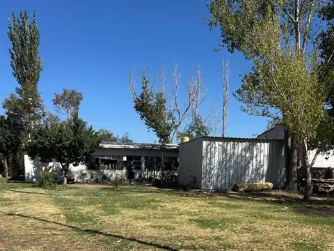 FINCA DE 25 Ha EN PRODUCCIÓN DE AJO