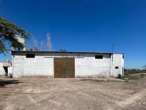 FINCA DE 25 Ha EN PRODUCCIÓN DE AJO