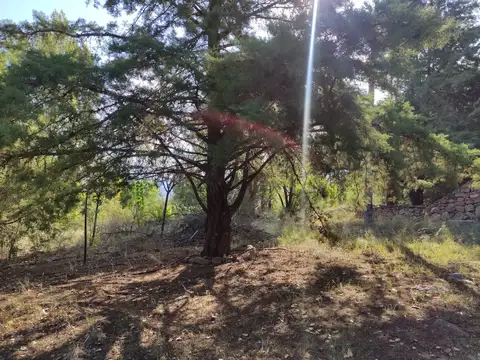 Terreno en Venta de 35635,0 m2