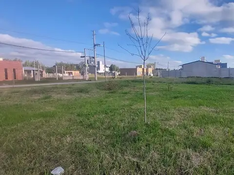 Charcas esq. Guadalupe Cuenca