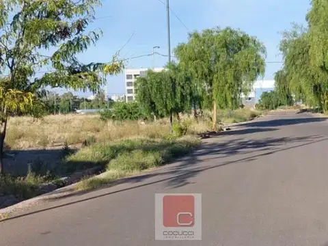 Ascasubi y Cabildo de Mendoza