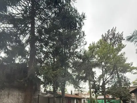 Terreno en Venta, FOT 80