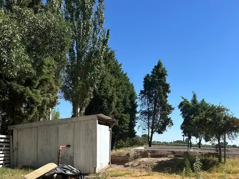 Mathus Hoyos S/N 7600