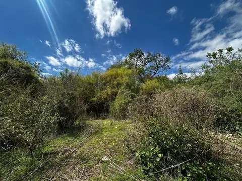 Terreno en Venta en Caldera, USD 20.000