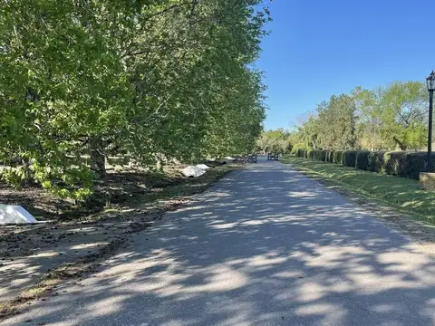 La Cañada Polo Club