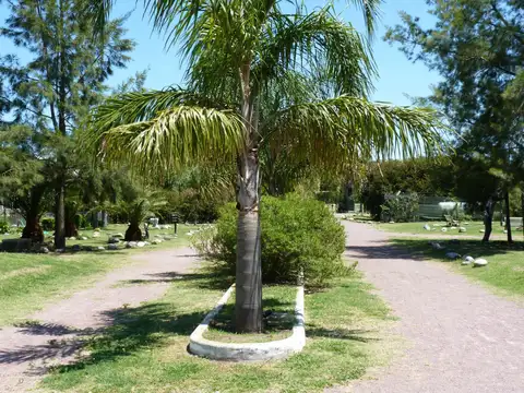 Negocio - Venta - Argentina, Lobos - RUTA 205 100