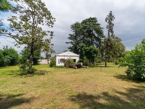 Manuel Savio s/n 100