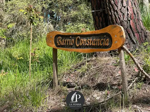 Constancia y Rey del bosque