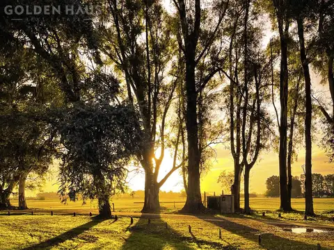 Terreno en Venta de 2899,0 m2