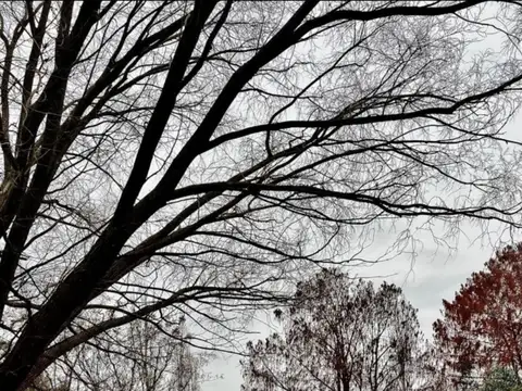 Terreno en Venta en Haras La Amanecida, USD 25.000