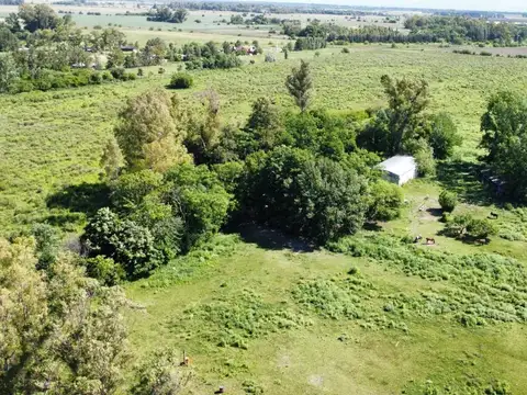 Venta de Campo   18 HECTÁREAS  VILLA RUIZ -
