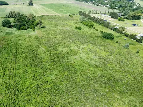 Venta de Campo   18 HECTÁREAS  VILLA RUIZ -